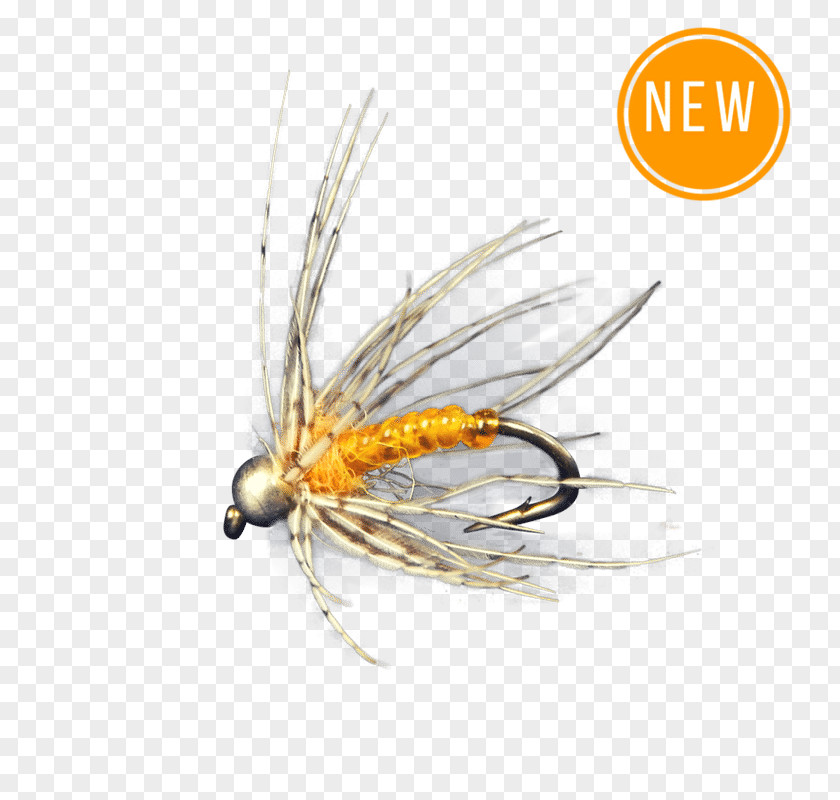 Flying Nymph Artificial Fly Hackles Fishing PNG