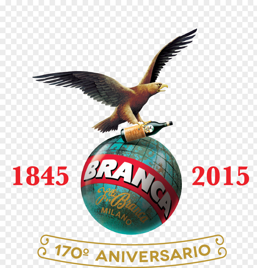 Vodka Fernet-Branca Distilled Beverage Gin Liqueur PNG