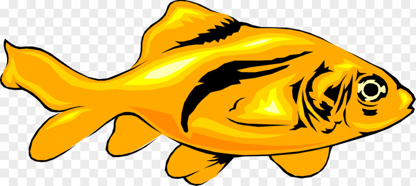 Animated Fish Fry Animations Clip Art Cartoon PNG