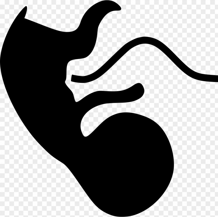 Apes Vector Embryo Royalty-free Fetus PNG