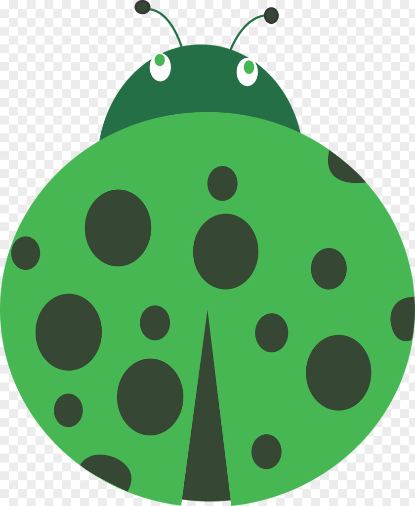 Beetle Ladybird Clip Art Image PNG