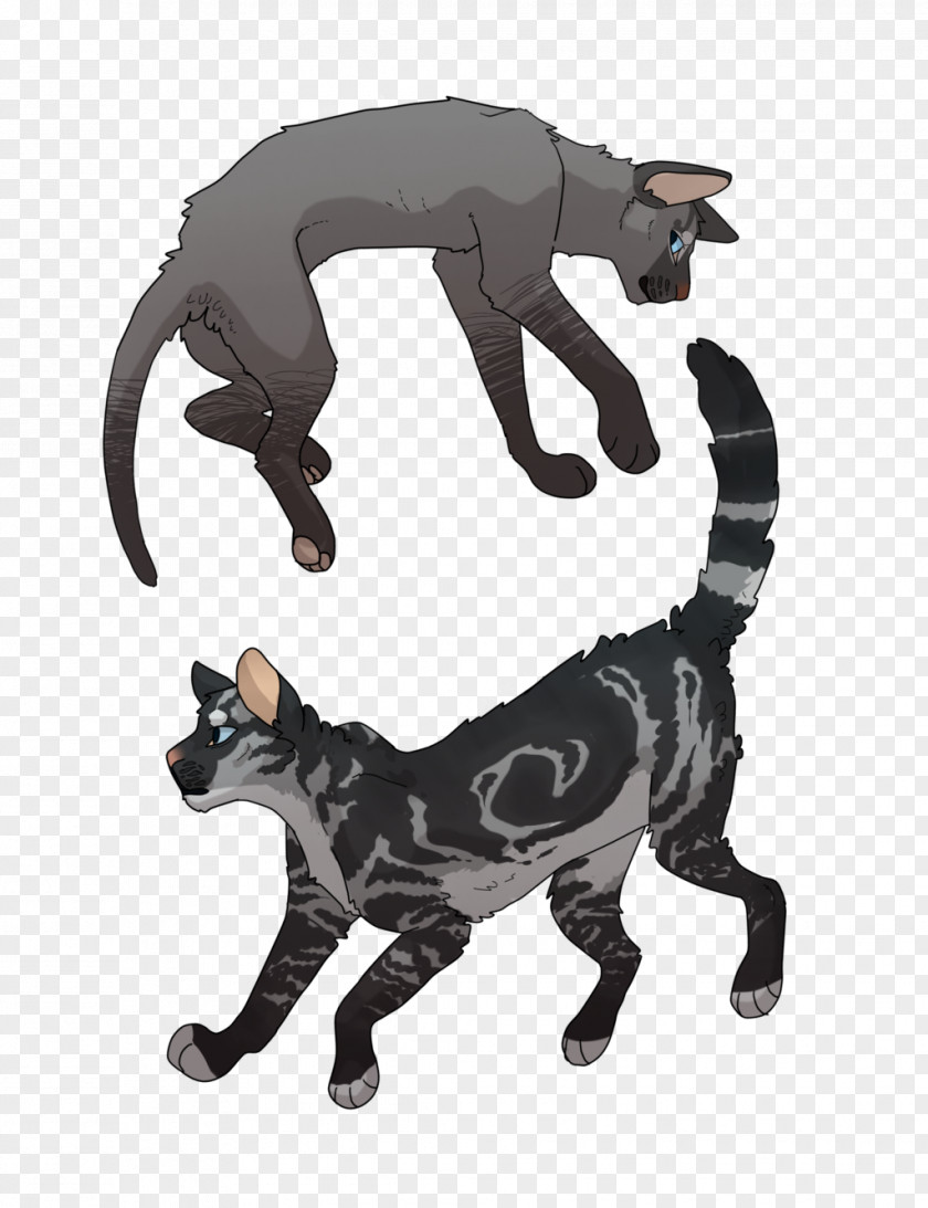 Cat Coat Genetics Digital Art Warriors Drawing PNG