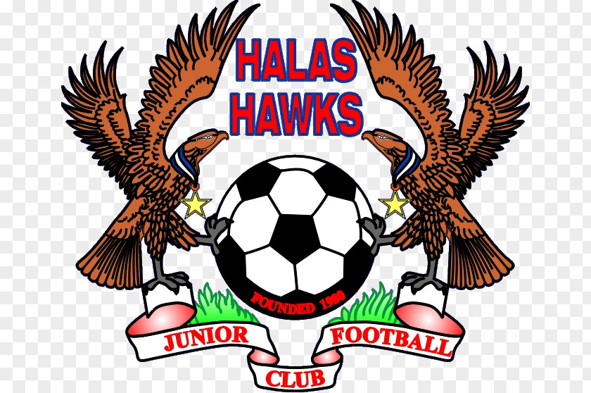 Hawk Black And White Halas Hawks JFC Premier League Football Team Sports PNG