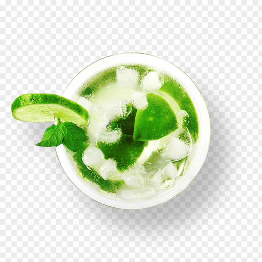 Mojito Cocktail Fizzy Drinks Photography PNG