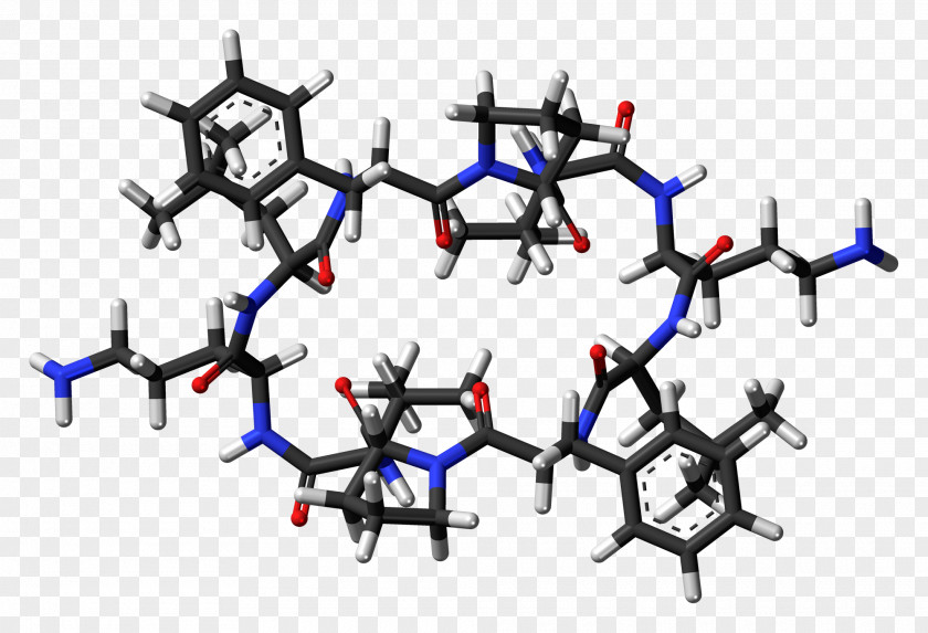 Oil Molecules Gramicidin S Nonribosomal Peptide Biosynthesis PNG