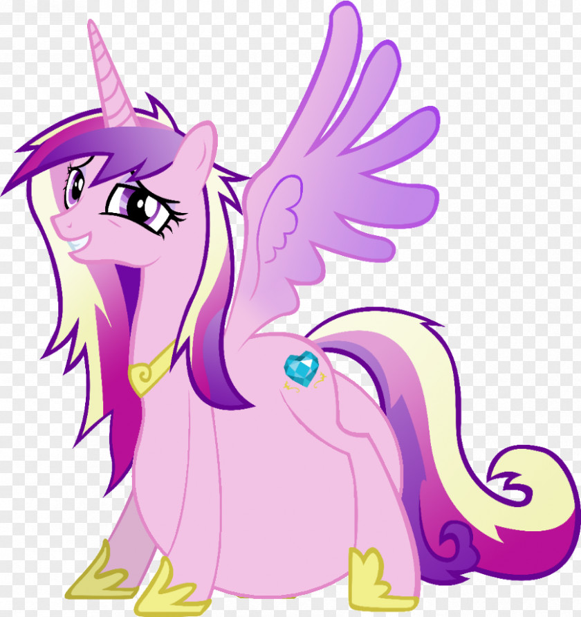 Princess Cadance Pony Twilight Sparkle Rarity Rainbow Dash PNG