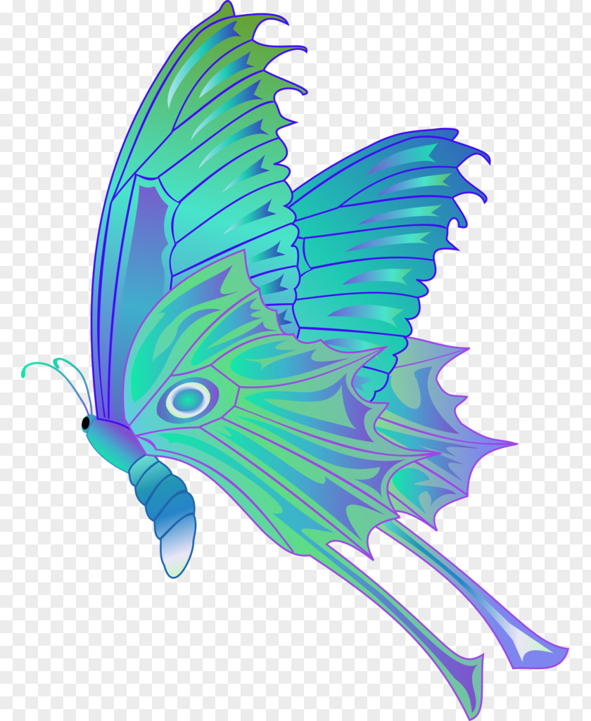 Butterfly Drawing Cabbage White Clip Art PNG