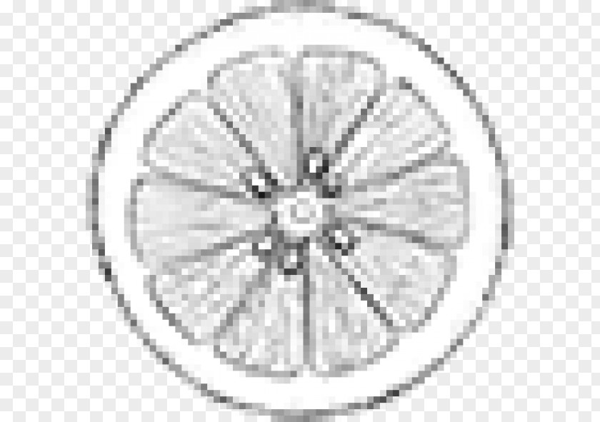 Circle Bicycle Wheels Spoke Rim Alloy Wheel NSE:NUCLEUS PNG