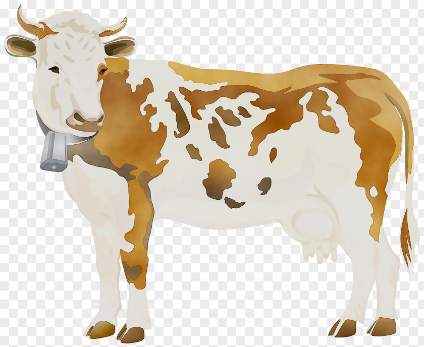 Holstein Friesian Cattle Clip Art Angus Transparency PNG