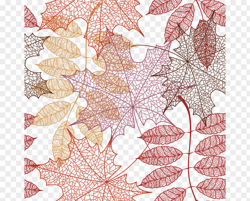 Leaf Texture Autumn Color Pattern PNG