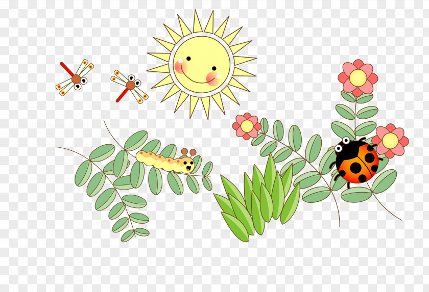 Leaves On The Insects Butterfly Ladybird Clip Art PNG