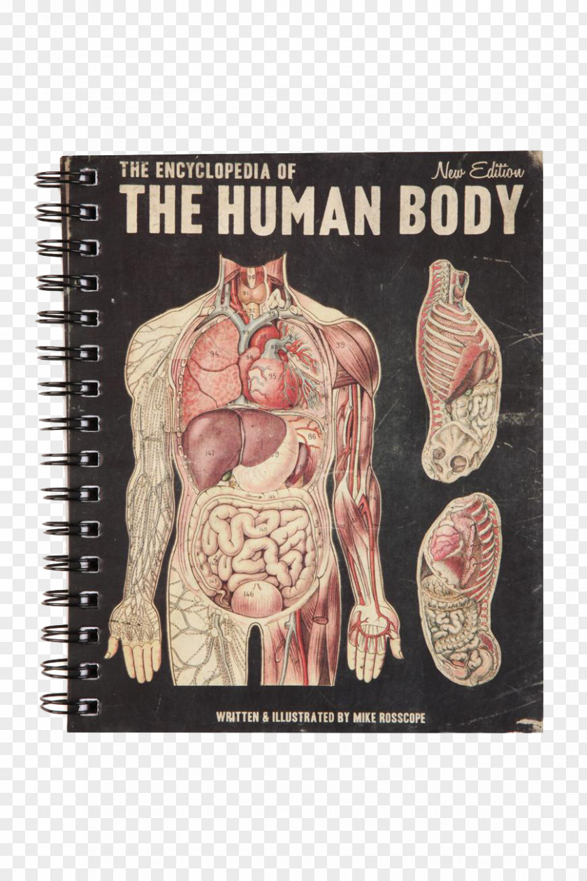 Notebook Stationery Human Anatomy Body PNG