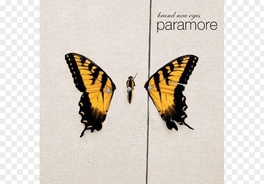 Paramore Brand New Eyes Ignorance Careful Album PNG