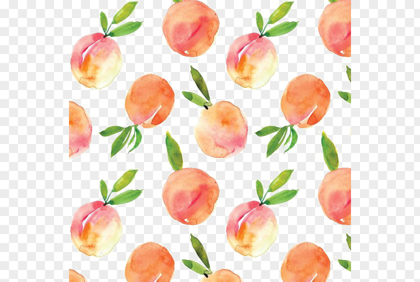 Peaches Shading Peach Watercolor Painting Drawing PNG