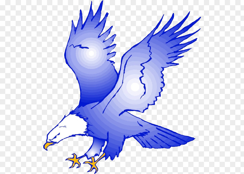 Blue Eagle Royalty-free Clip Art PNG
