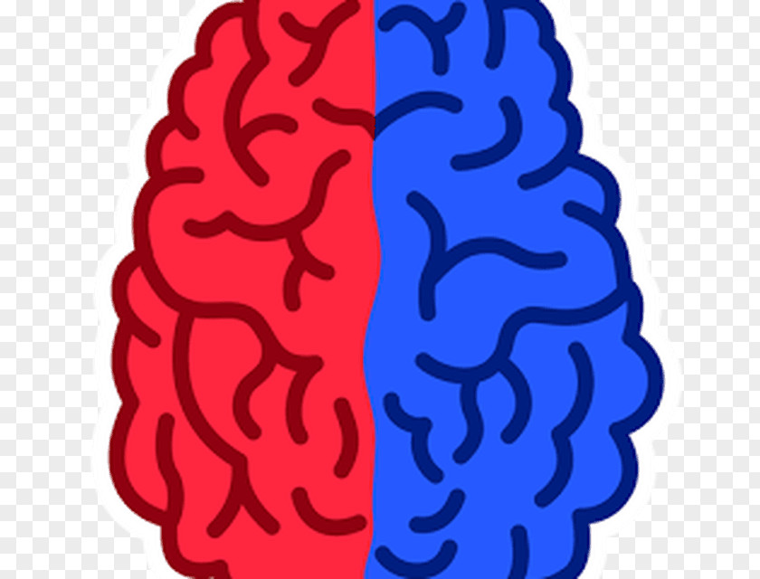 Brain Word Search Game App Left Vs Right: Training Exercise Lateralization Of Function PNG
