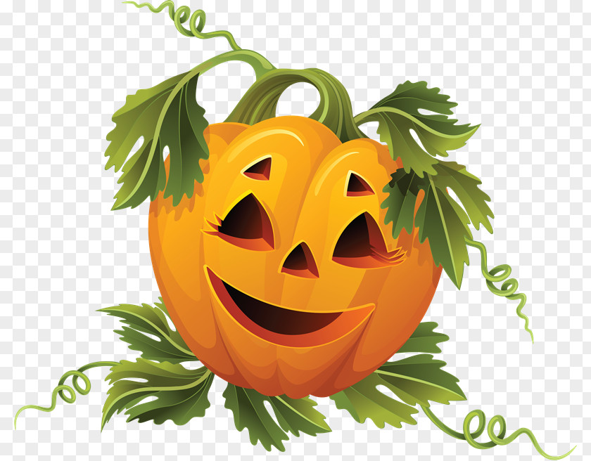 Calabaza Jack-o'-lantern Pumpkin Halloween Winter Squash Clip Art PNG