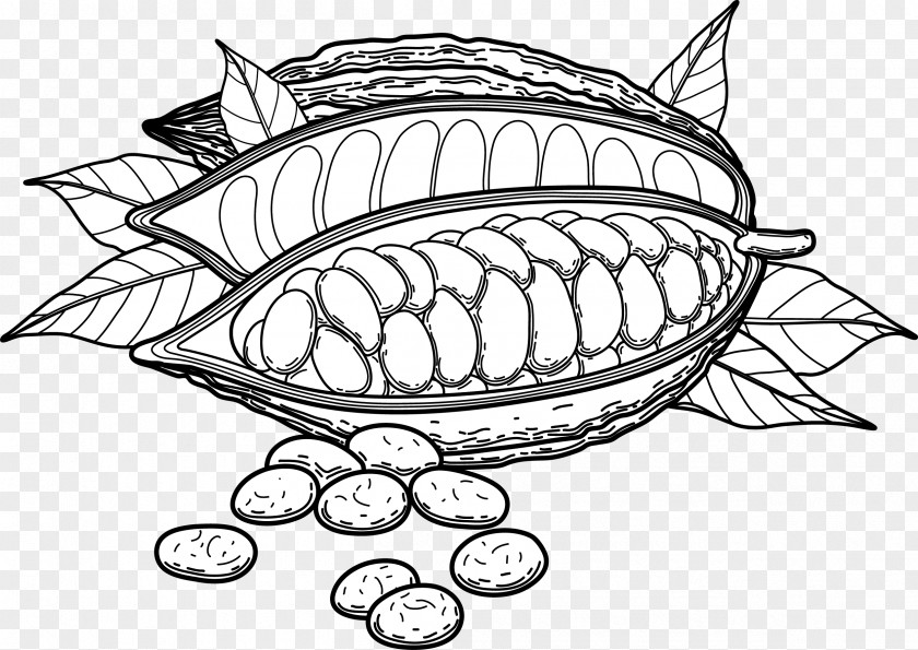 Cocoa Sketch PNG sketch clipart PNG