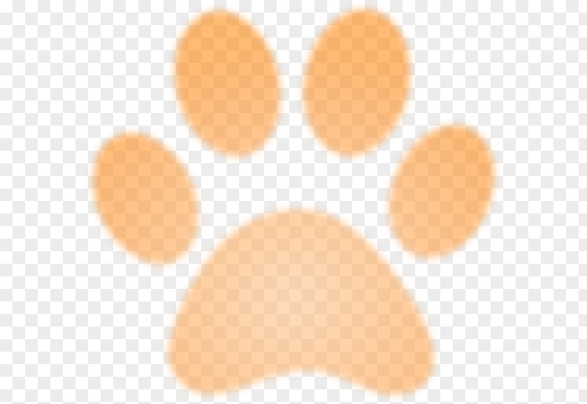 Design Desktop Wallpaper Paw Close-up Font PNG