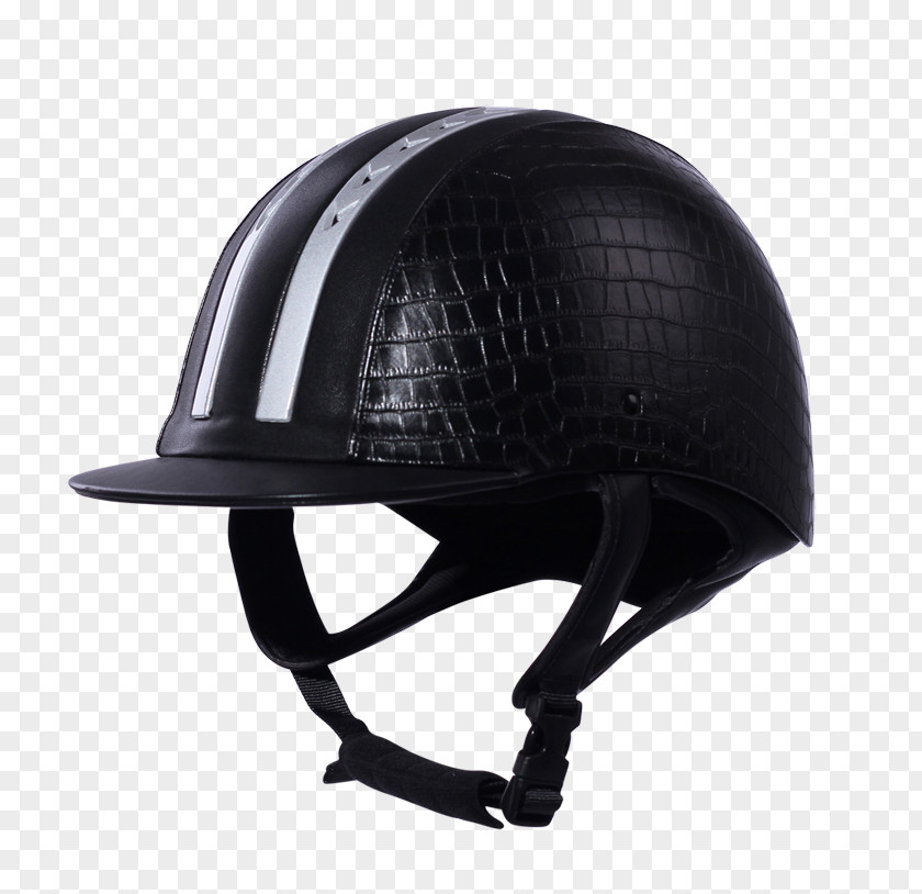 Divider Material Equestrian Helmets Horse Tack PNG