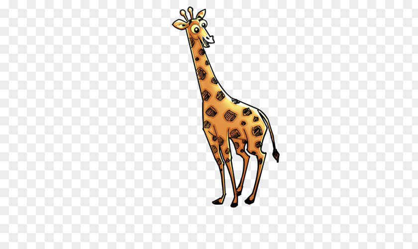 Giraffe Drawing Northern Pencil Clip Art PNG