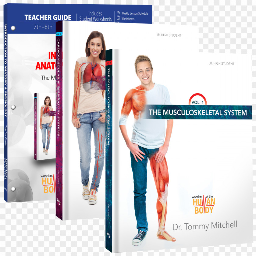 Mississippi Mudds Introduction To Anatomy & Physiology: The Musculoskeletal System Physiology (Teacher Guide) Human PNG