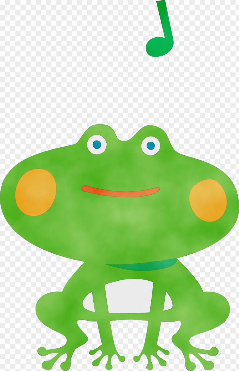 True Frog Frogs Green Tree Science PNG