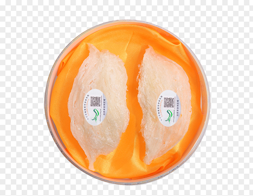 Bird's Nest Fruit Orange PNG