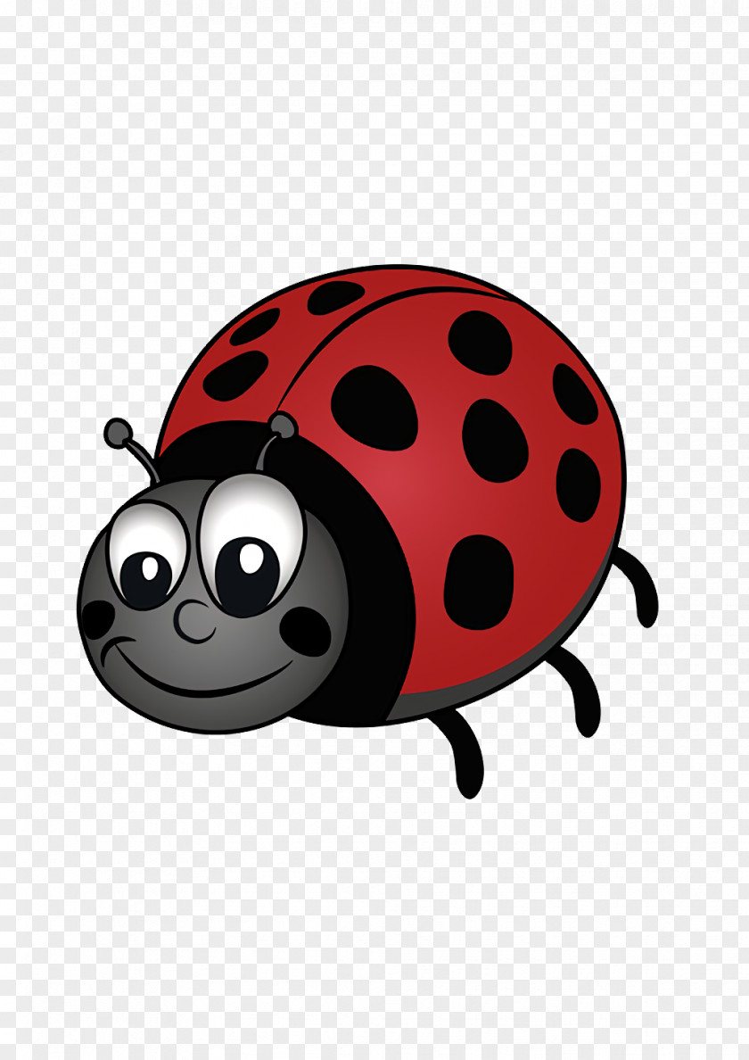 Cartoon Beetles Biology Science PNG