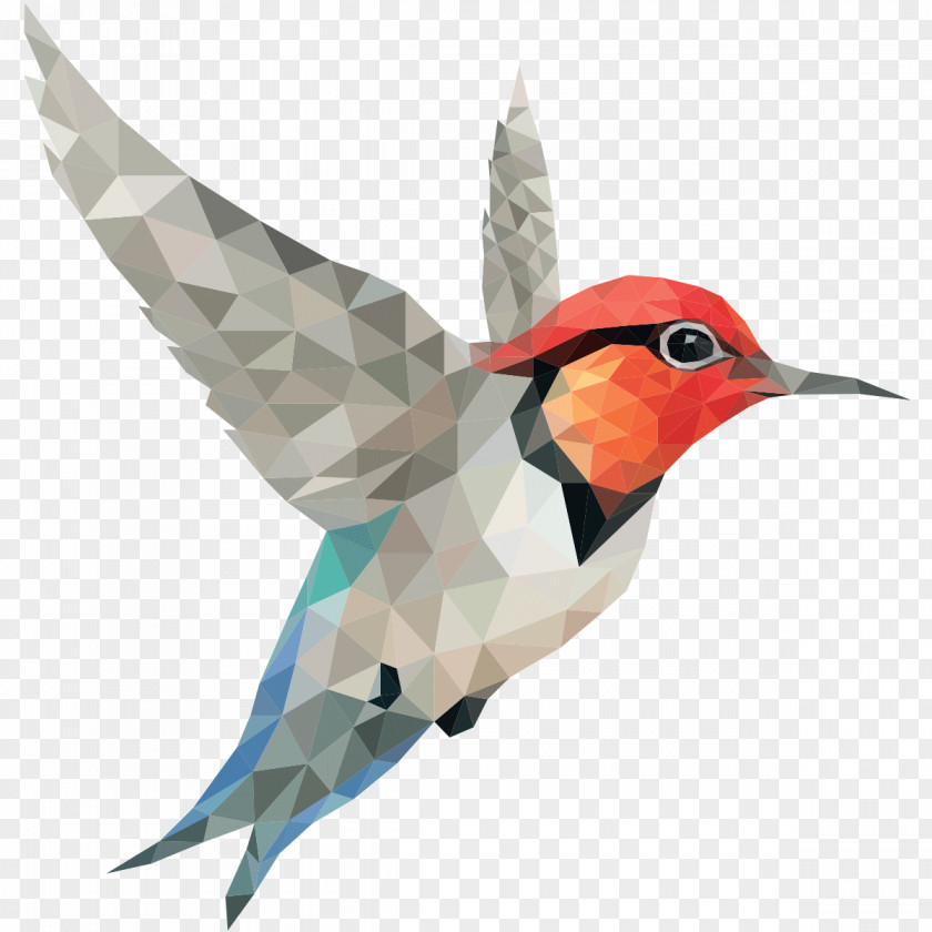 Colibri Clip Art Desktop Wallpaper Bird Image PNG