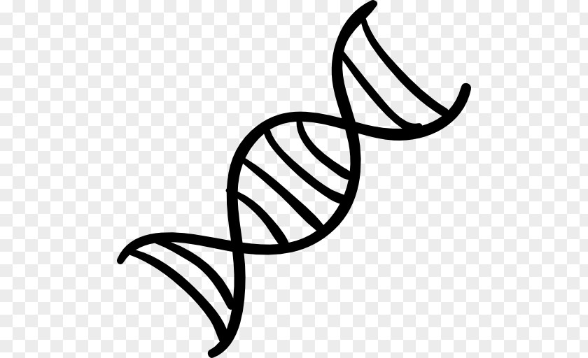 Dna Vector The Double Helix: A Personal Account Of Discovery Structure DNA Nucleic Acid Helix Genetics PNG