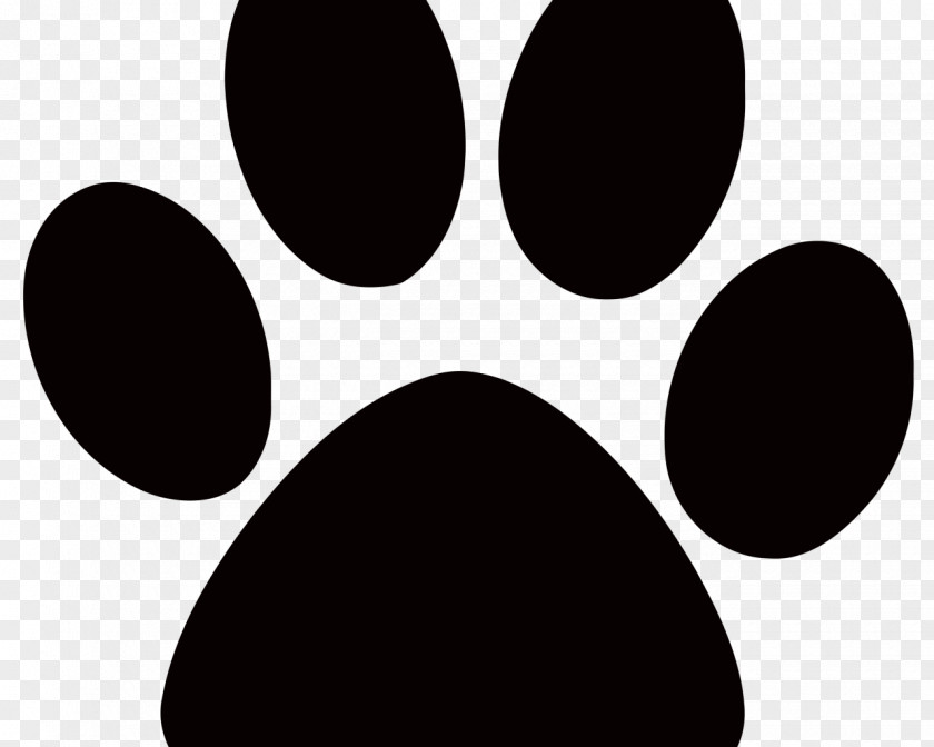 Dog Paw Clip Art Vector Graphics Cat PNG