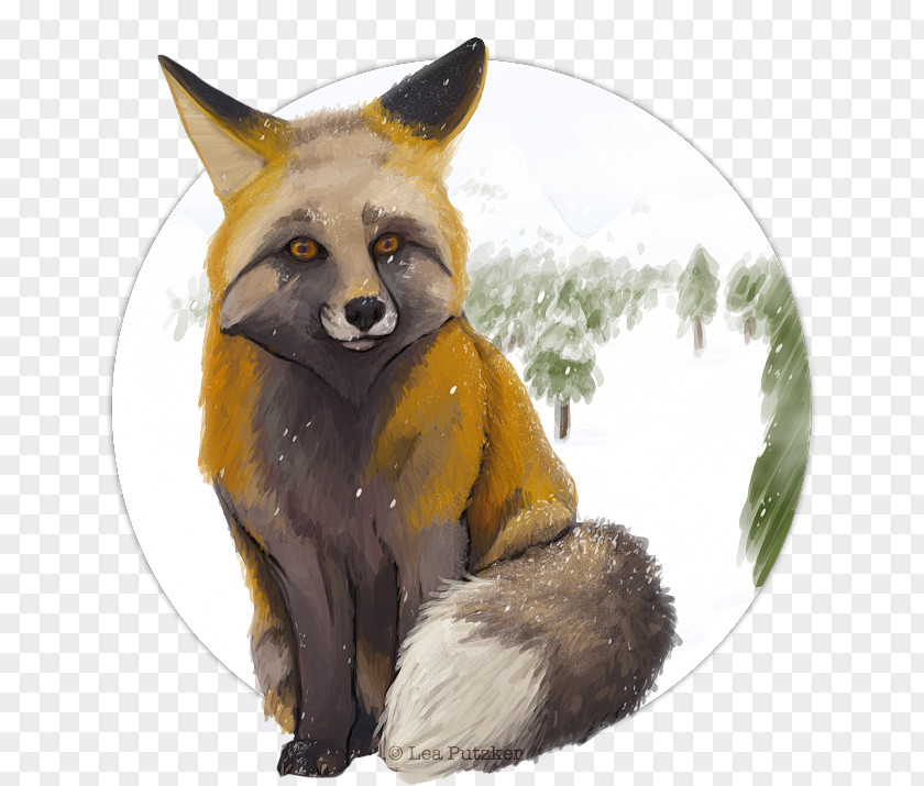 Fox Red Kit Fauna Fur PNG