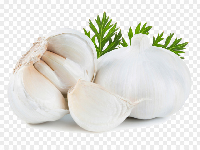 Garlic Solo Food Vegetable Onion Spice PNG