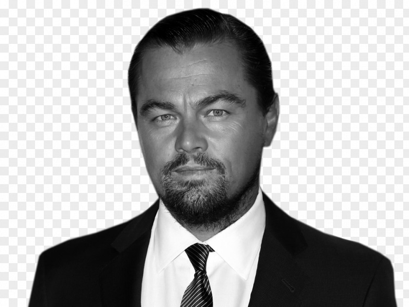 Leonardo DiCaprio Django Unchained Actor Film Director Producer PNG