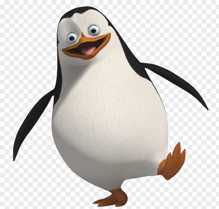 Madagascar Penguins Skipper Penguin Clip Art PNG