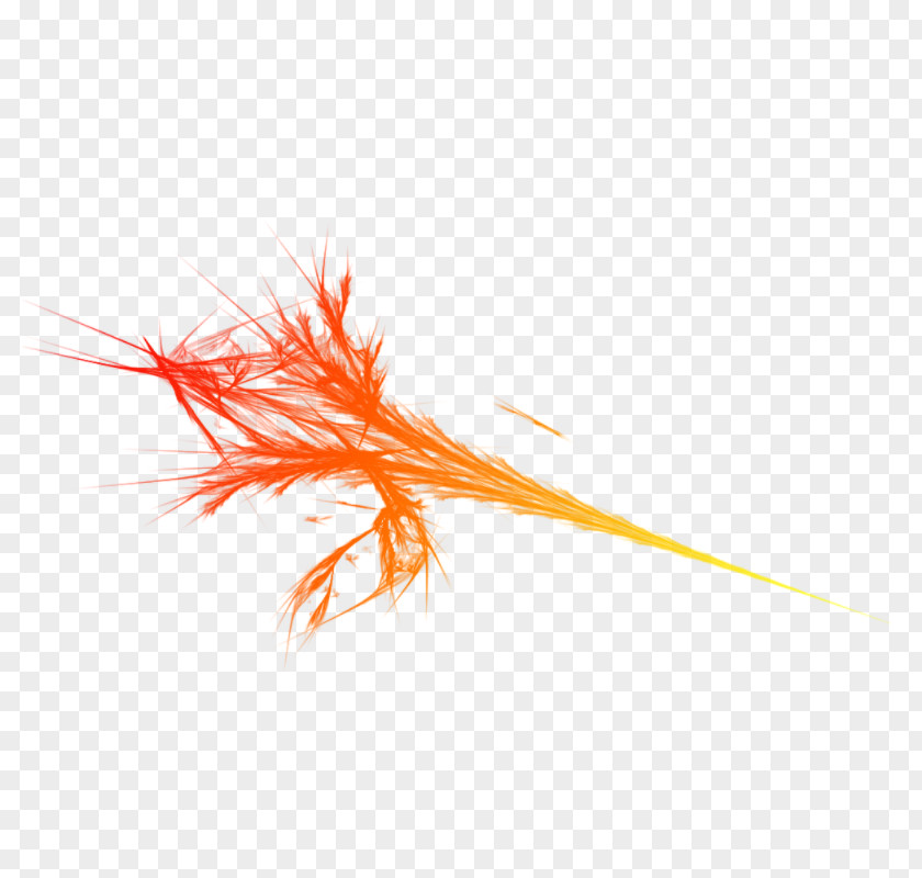 Quill Grass Family Orange PNG