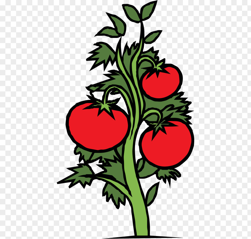Tomato Tattoo Clip Art Openclipart Vector Graphics PNG