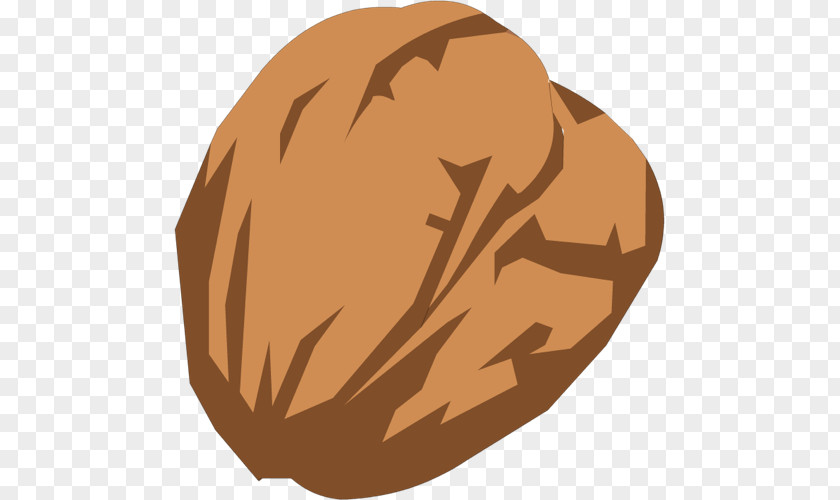 Vj Walnut Clip Art PNG