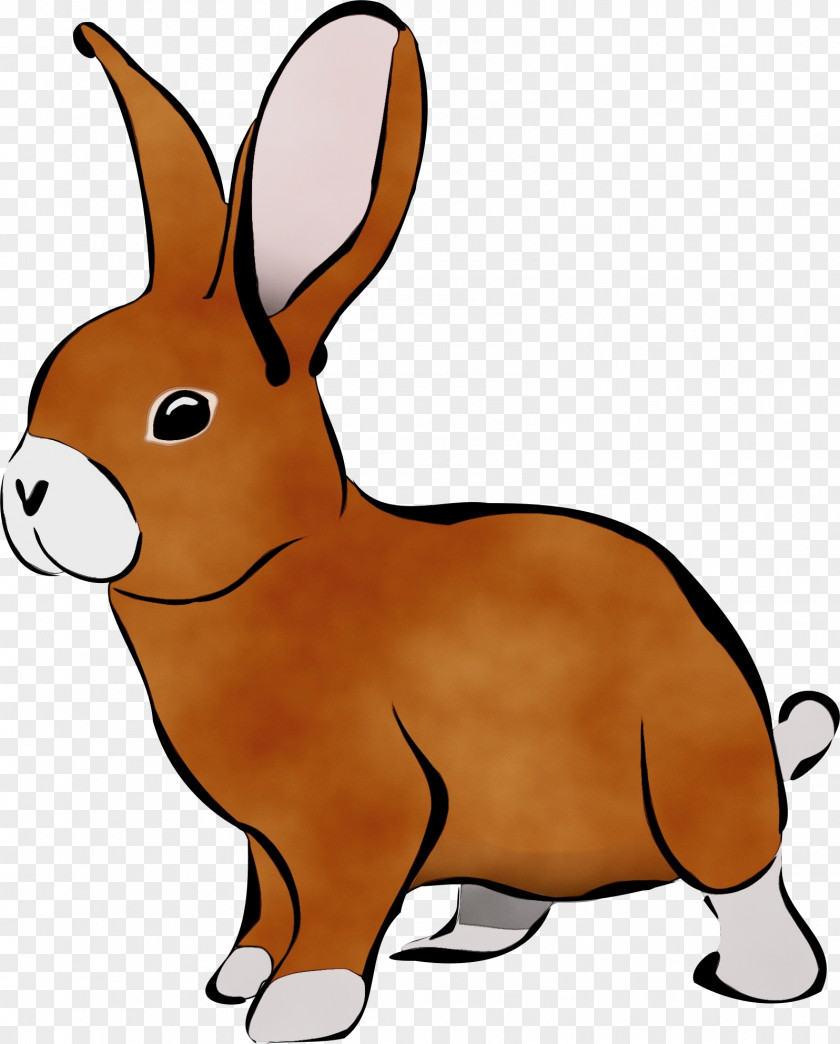 Bugs Bunny PNG