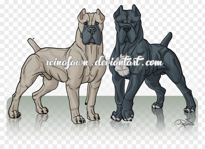 Father And Son Cane Corso Great Dane Dog Breed Snout PNG