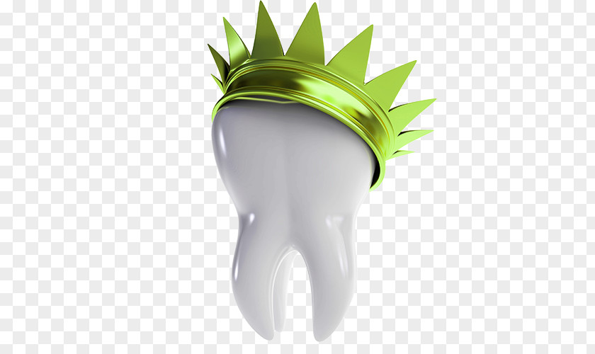 3D Dental Health Chart Crown Dentistry Bridge Restoration Dentures PNG