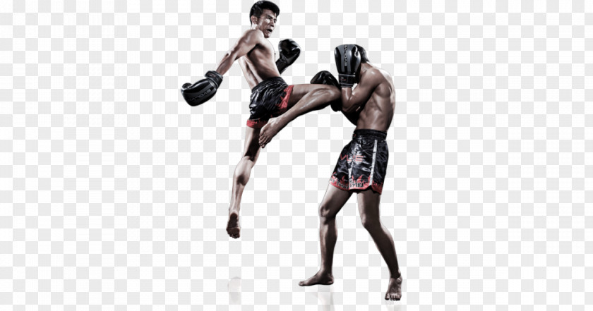 Boxing Muay Thai Kickboxing Mixed Martial Arts PNG