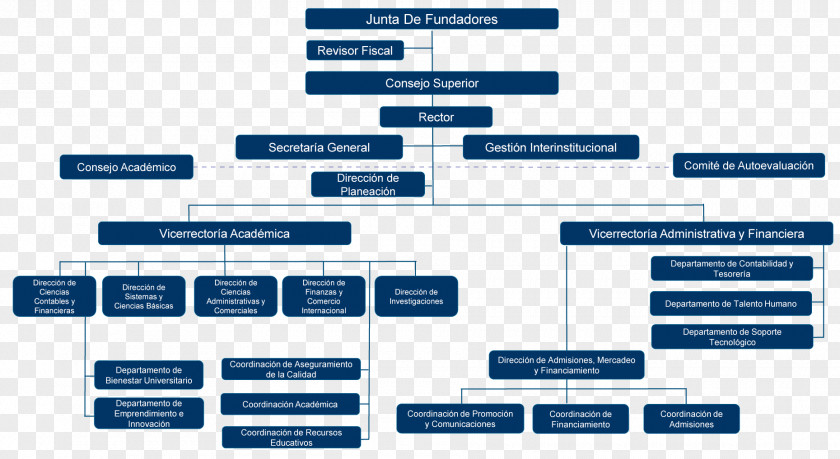 Business Organizational Chart Empresa Management Corporation PNG