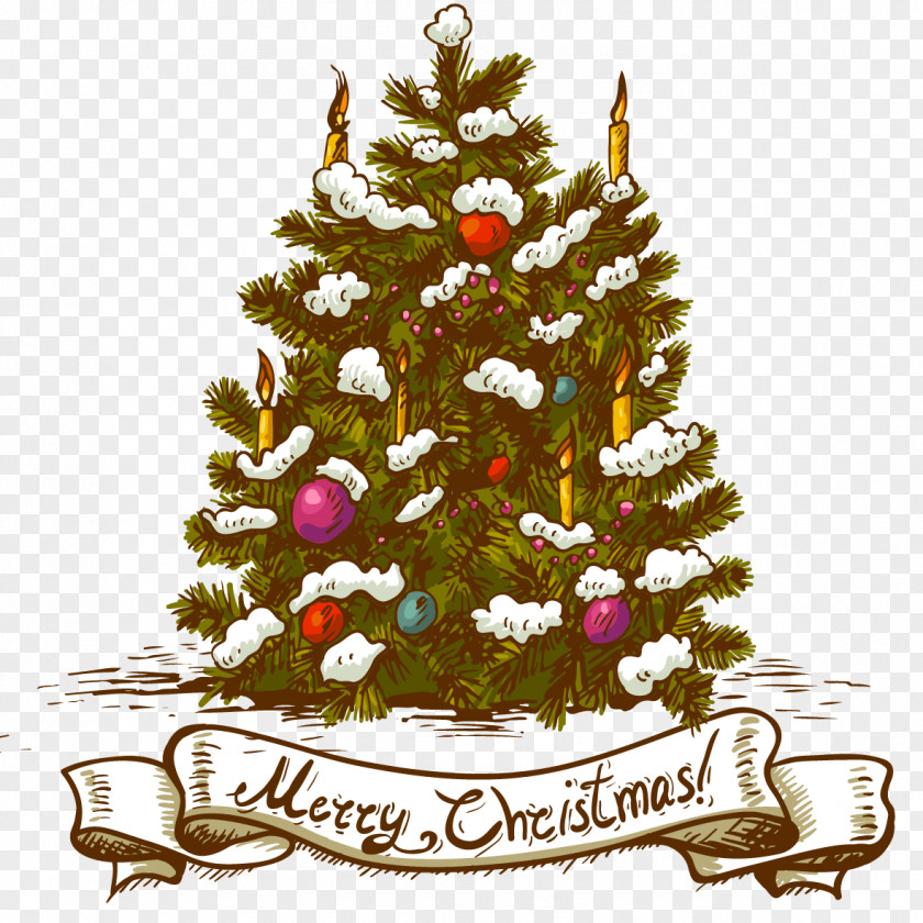 Christmas Tree Vector Ornament PNG