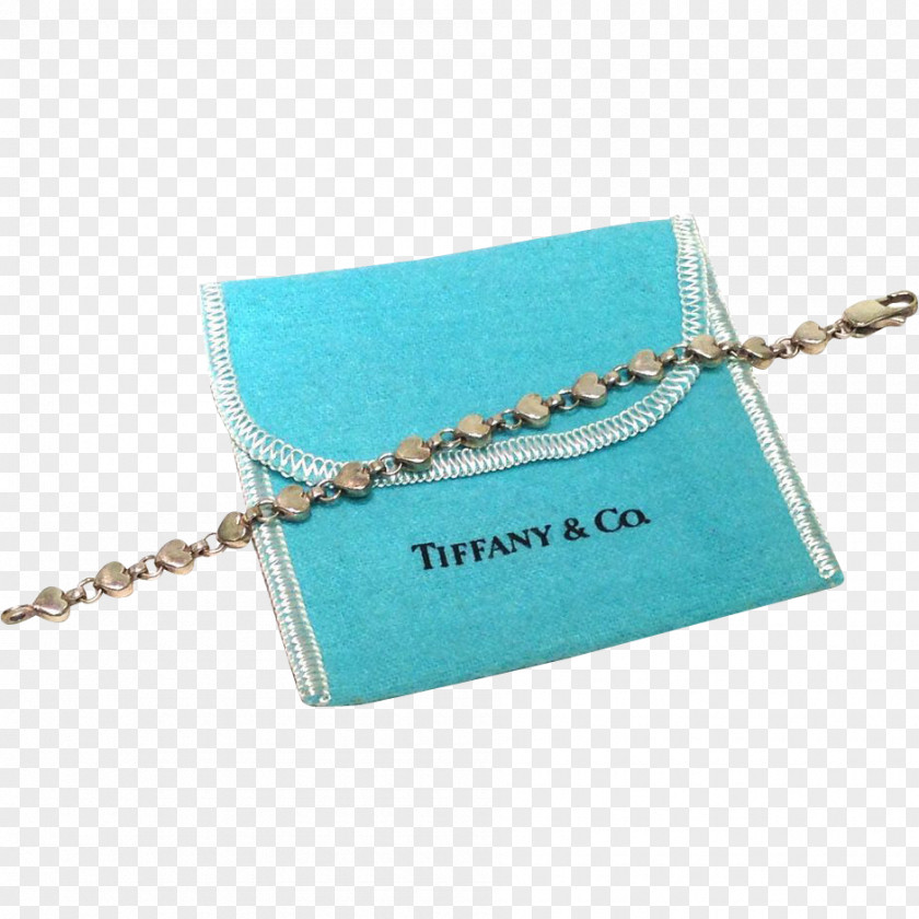 Coin Turquoise Purse Handbag PNG