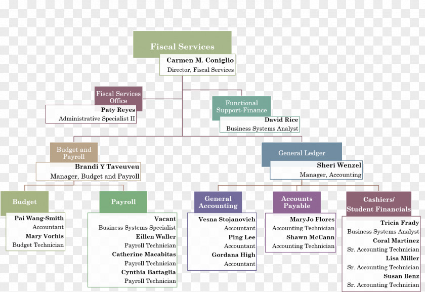 Organization Chart Brand PNG