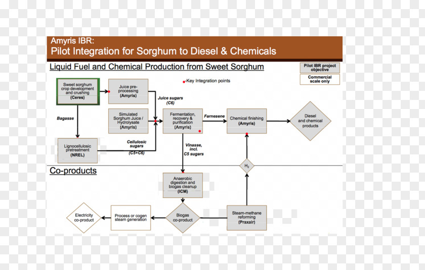 Sorghum Sweet Diesel Fuel Biorefinery PNG