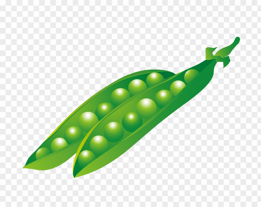 Vector Green Peas Pea Animation PNG