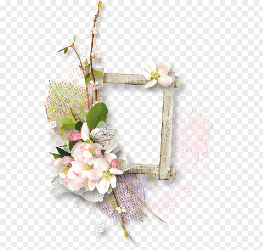 Window Picture Frames Floral Design Photography PNG